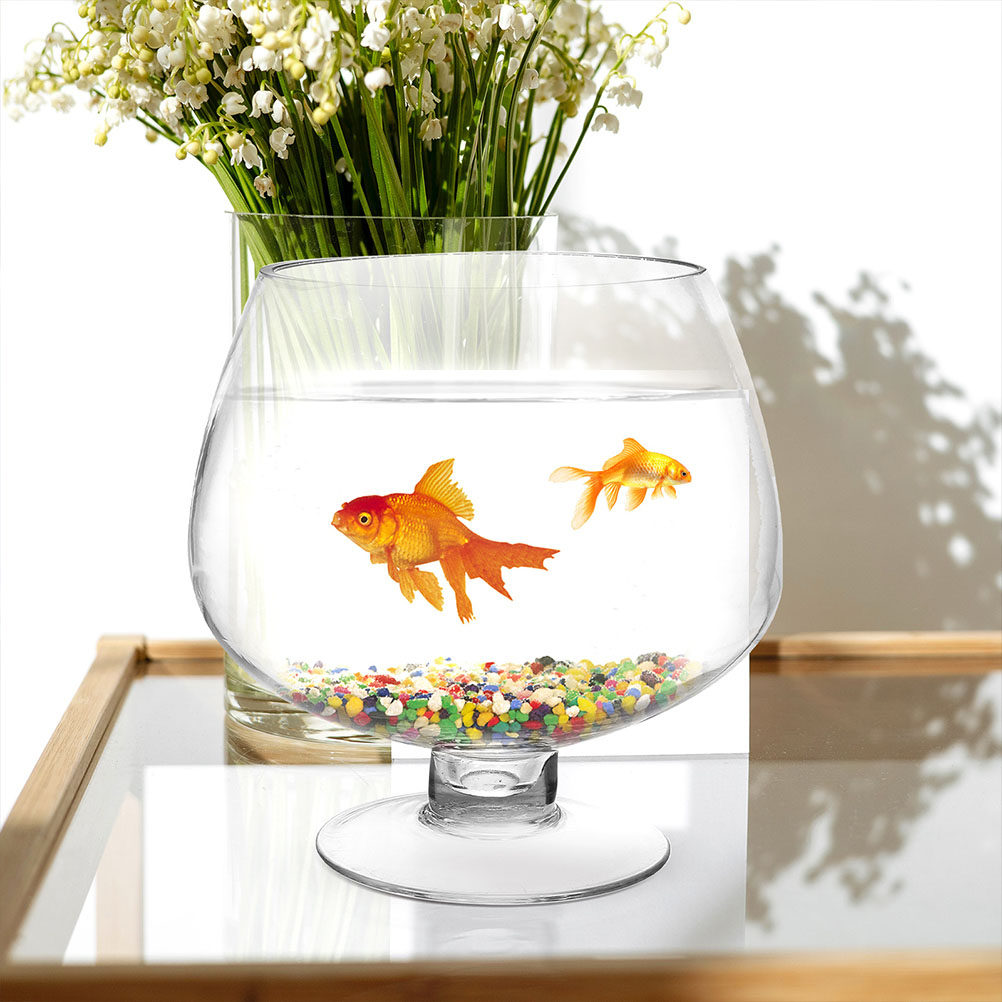 Glass Fish Bowl Vase Small Cle - огляд і ціна Planted Aquarium Angelfish