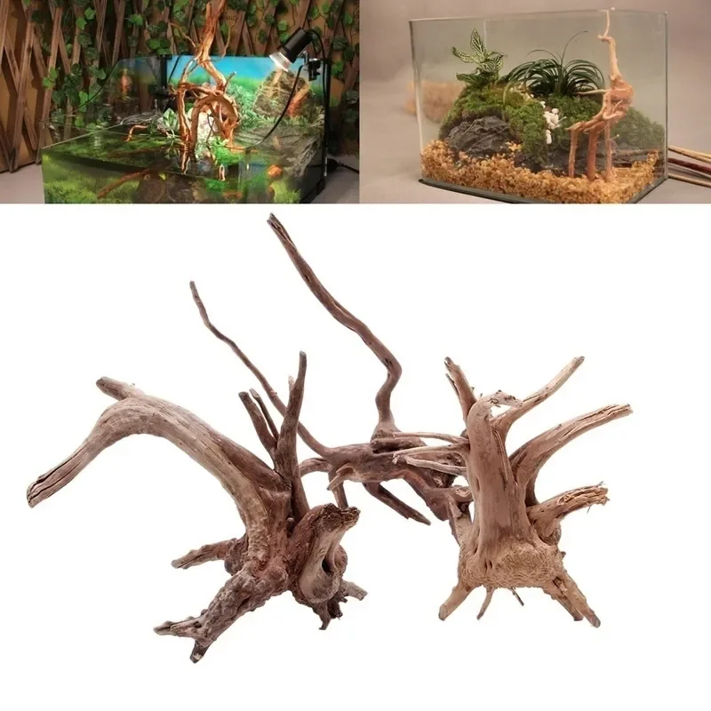 Natural Tree Trunk Driftwood A - огляд і ціна Planted Aquarium With Driftwood