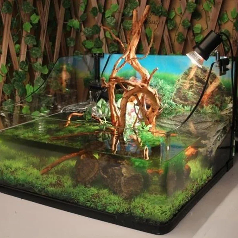 Natural Tree Trunk Driftwood A - огляд і ціна Planted Aquarium With Driftwood