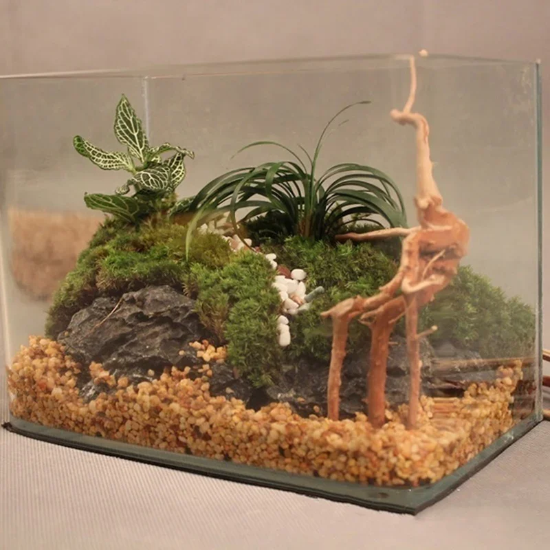 Natural Tree Trunk Driftwood A - огляд і ціна Planted Aquarium With Driftwood