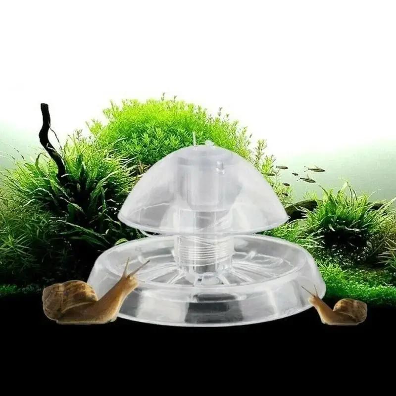 2026 New 6/8CM Clear Plastic S - огляд і ціна Aquarium Plant Order