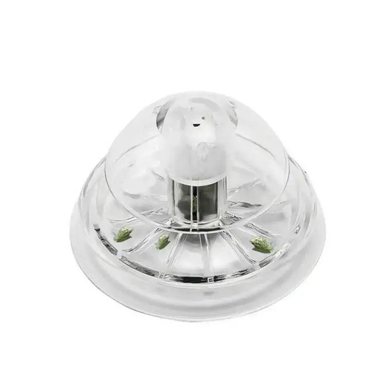 2026 New 6/8CM Clear Plastic S - огляд і ціна Aquarium Plant Order