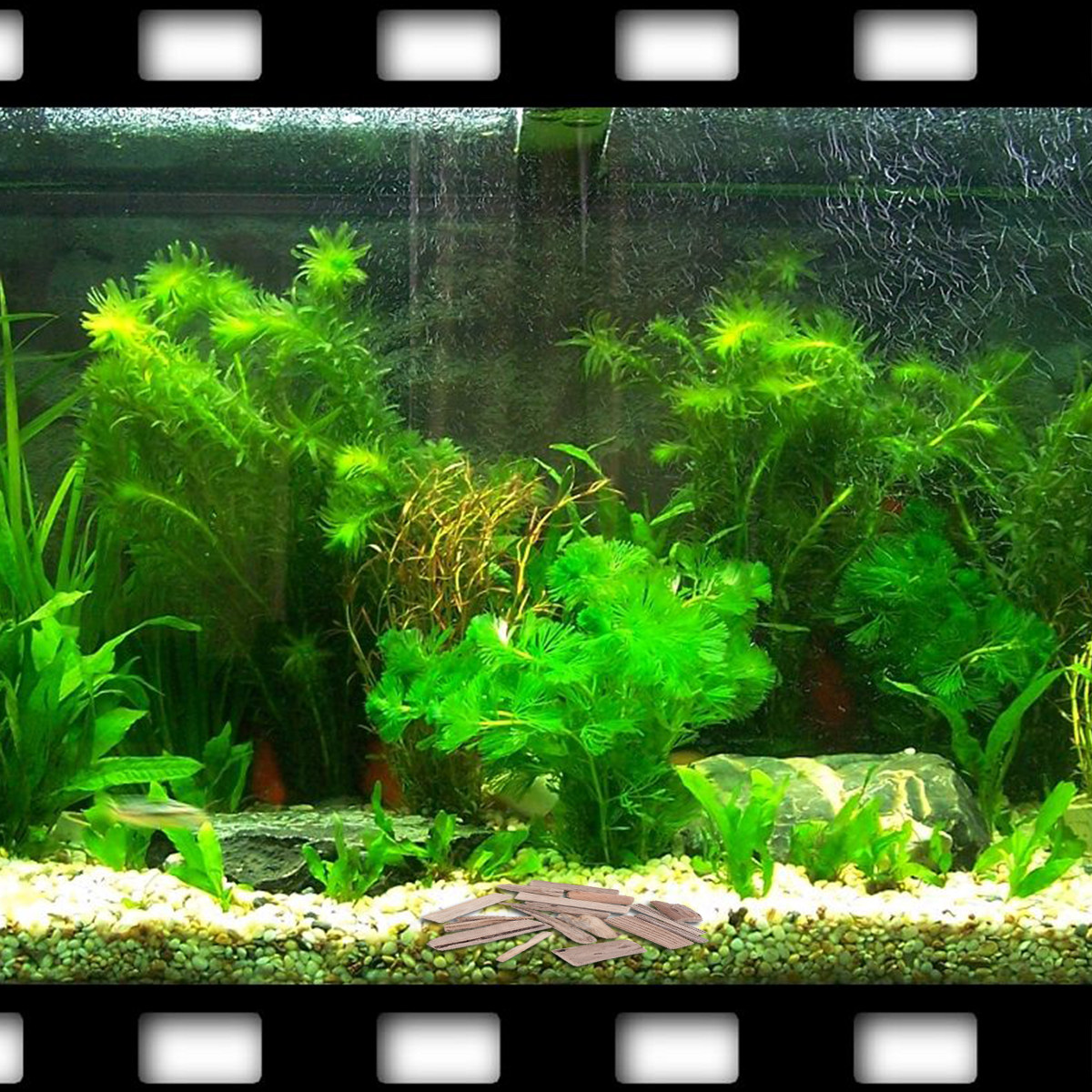 30Pcs Driftwood Fish Tank Deco - огляд і ціна Planted Aquarium Ph