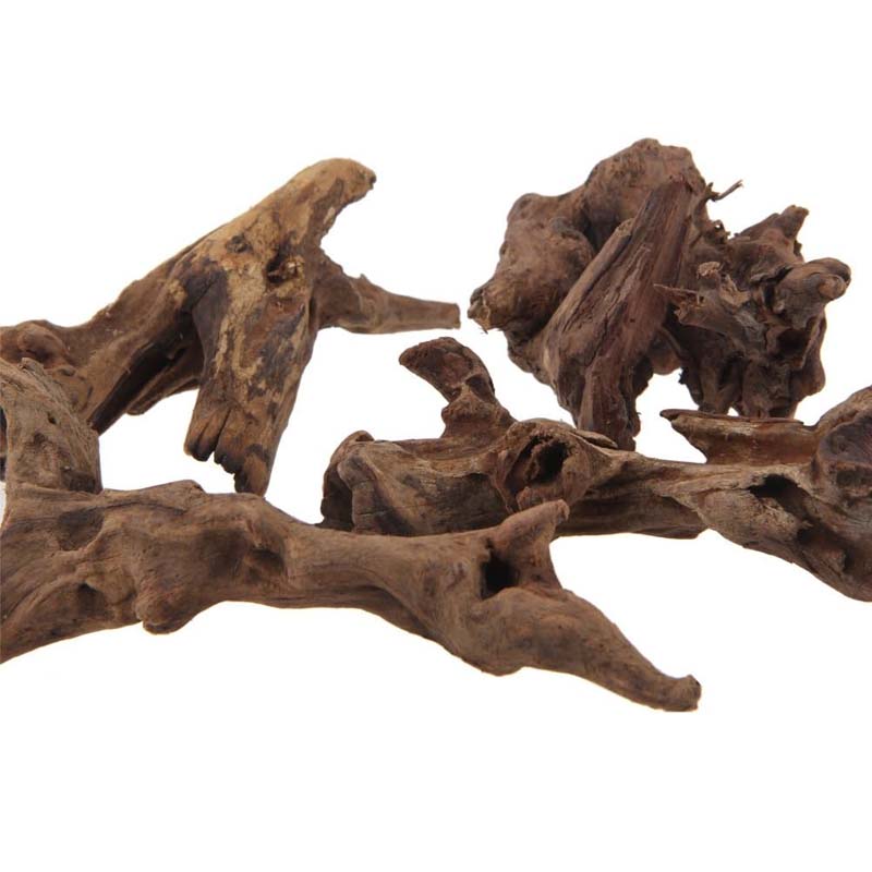 1PC Natural Aquarium Sinkable  - огляд і ціна Planted Aquarium With Driftwood