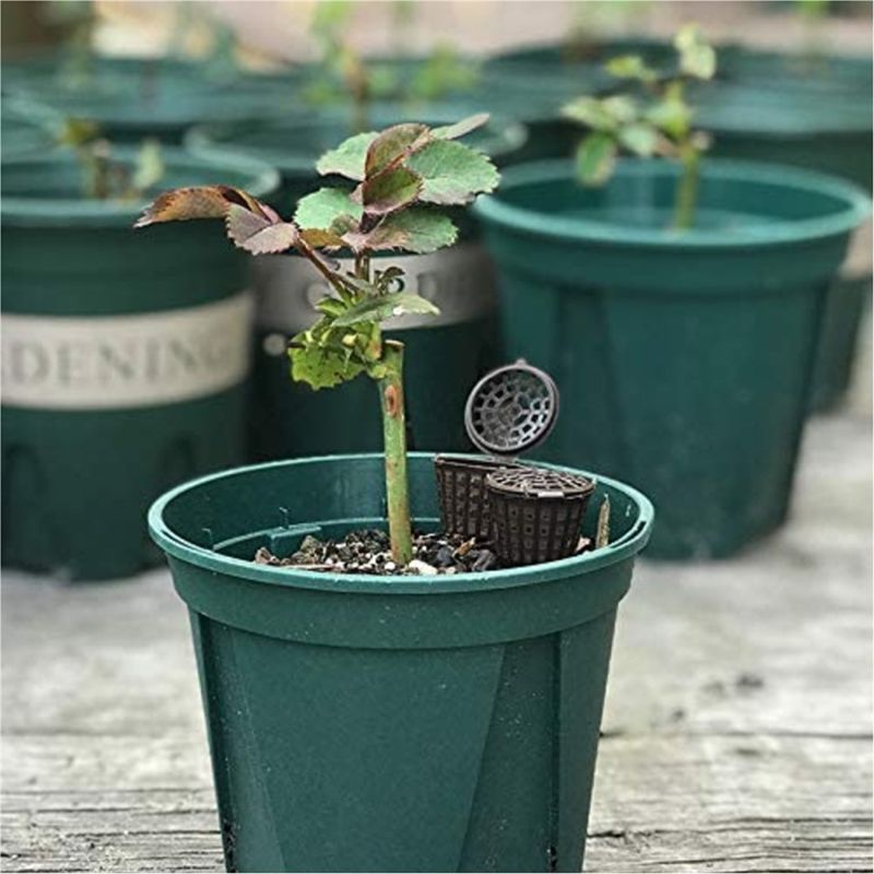 ABUH-Garden Nursery Fertilizer - огляд і ціна Planted Aquarium Fertilizer