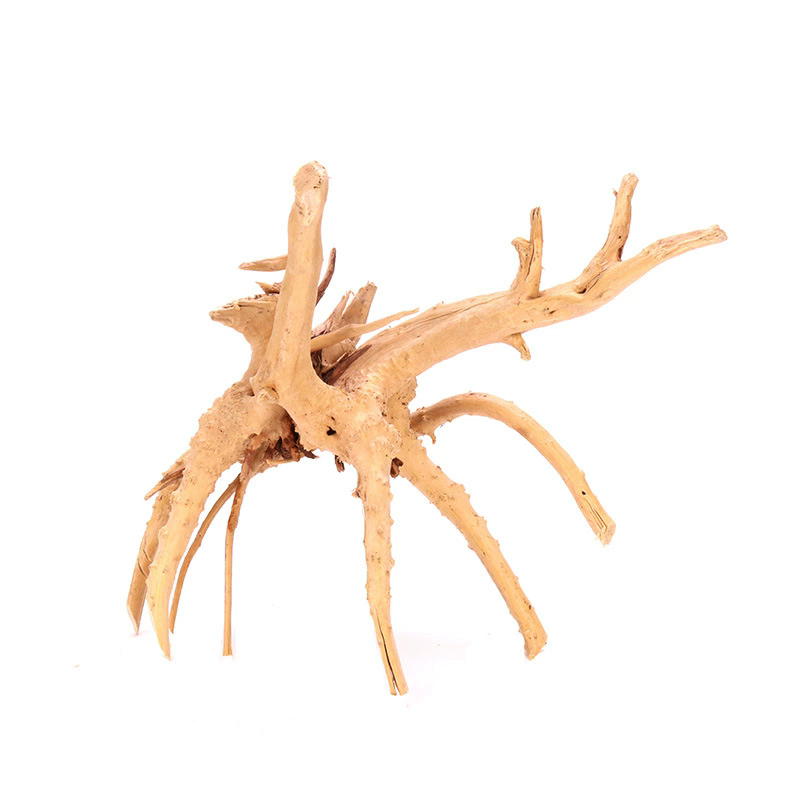 4PCS Natural Wooden Fish Tank  - огляд і ціна Planted Aquarium With Driftwood