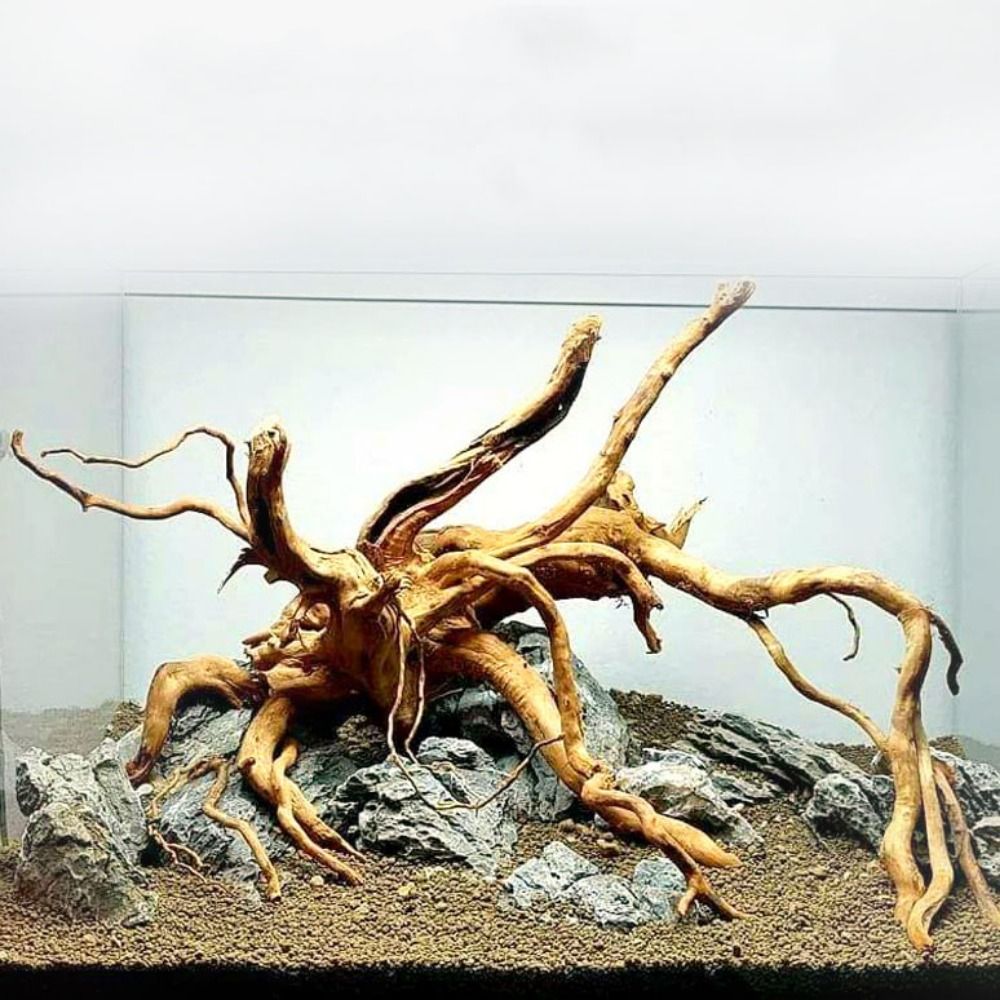 20-25CM Large Aquarium Driftwo - огляд і ціна Planted Aquarium With Driftwood