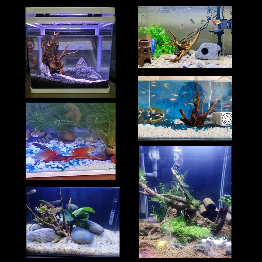 20-25CM Large Aquarium Driftwo - огляд і ціна Planted Aquarium With Driftwood
