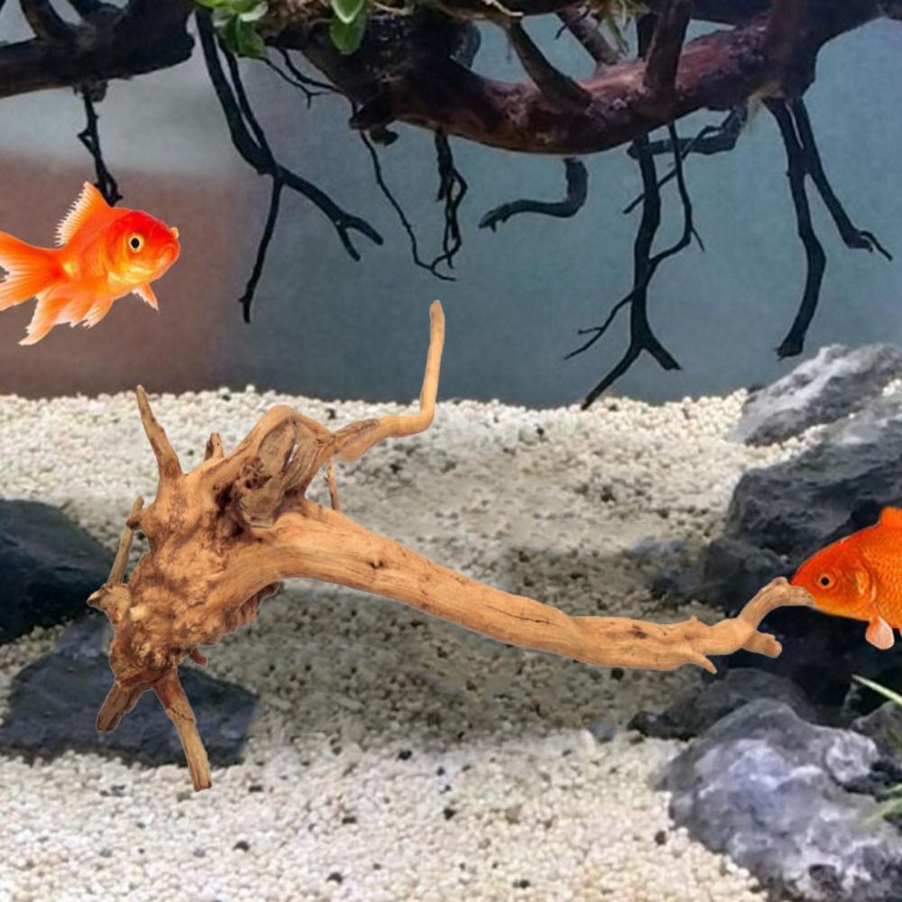 20-25CM Large Aquarium Driftwo - огляд і ціна Planted Aquarium With Driftwood