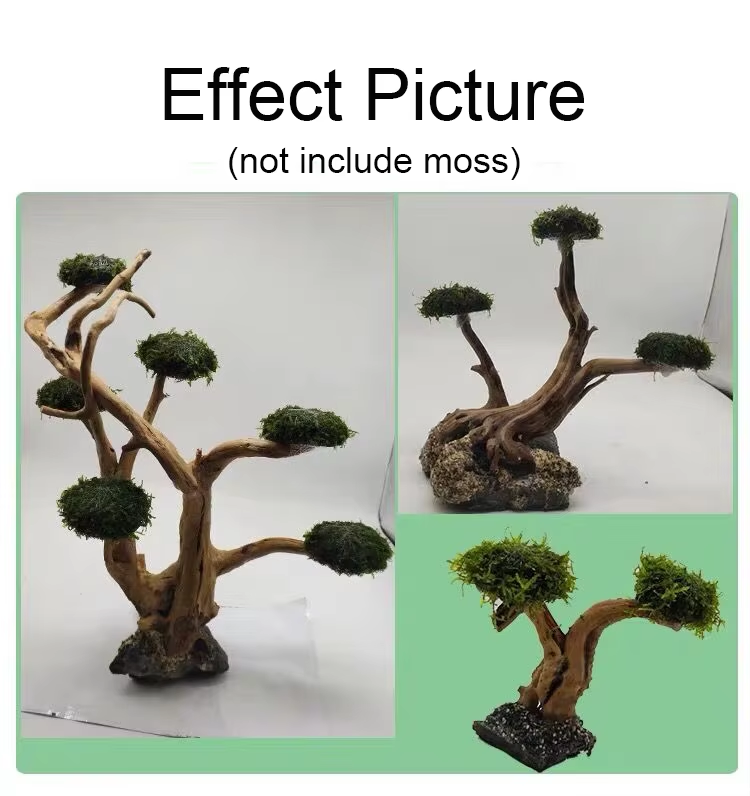 Fish Tank Plant Moss Tree Deco - огляд і ціна Planted Aquarium With Driftwood