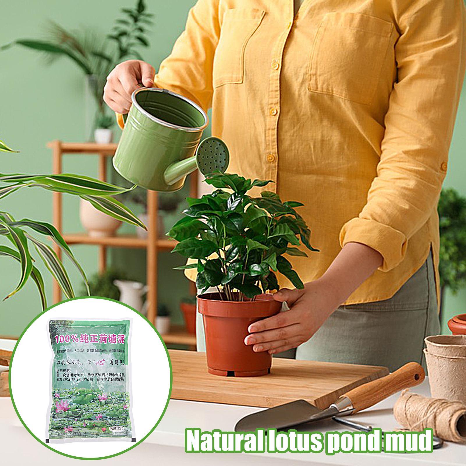 200g/bag Aquarium Soil Natural - огляд і ціна Aquarium Planted Seeds