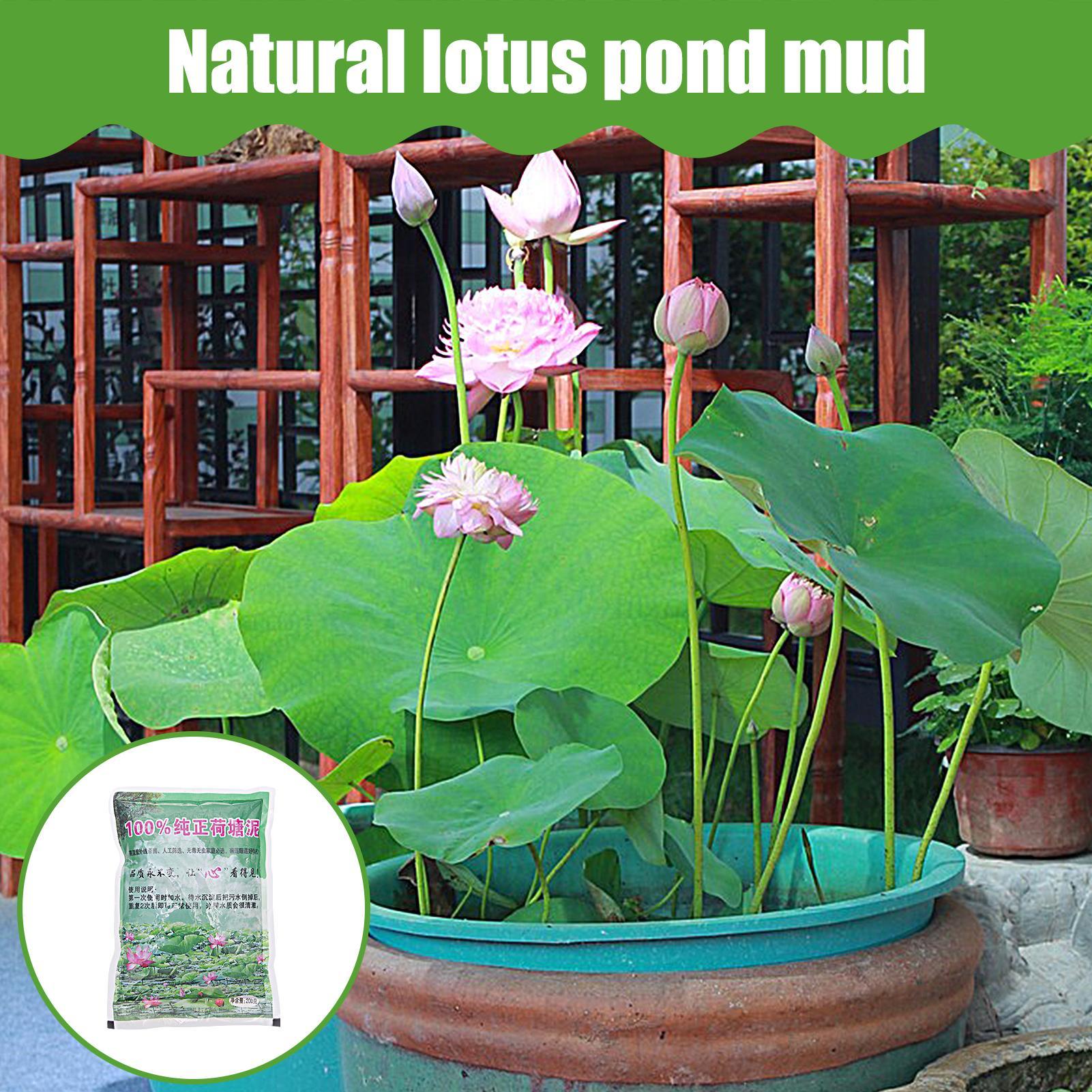 200g/bag Aquarium Soil Natural - огляд і ціна Aquarium Planted Seeds