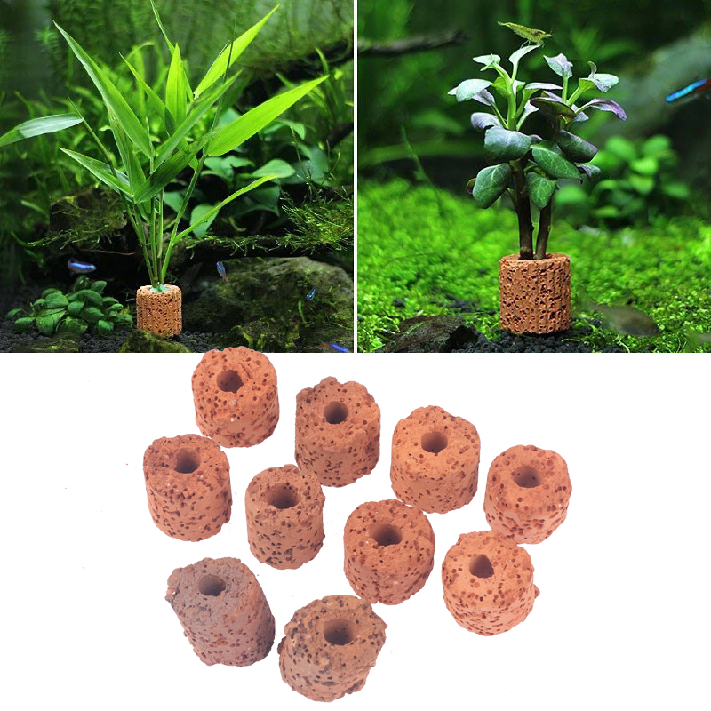 ^10Pcs Plant Ring Aquarium Fix - огляд і ціна Planted Aquarium Tools
