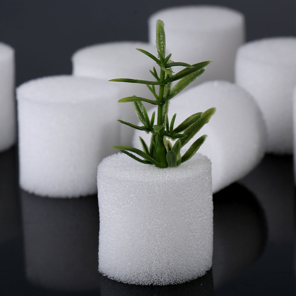 10/50pcs Durable Garden Suppli - огляд і ціна Aquarium Planted Seeds