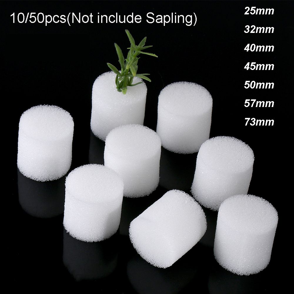 10/50pcs Durable Garden Suppli - огляд і ціна Aquarium Planted Seeds