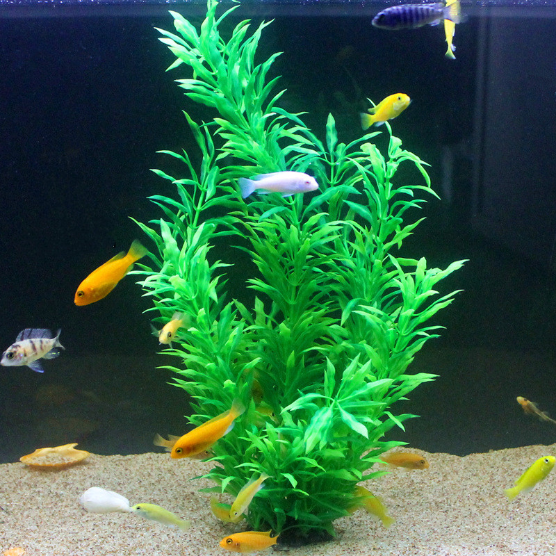 50CM Artificial Fish Tank Rare - огляд і ціна Aquarium Plant Order