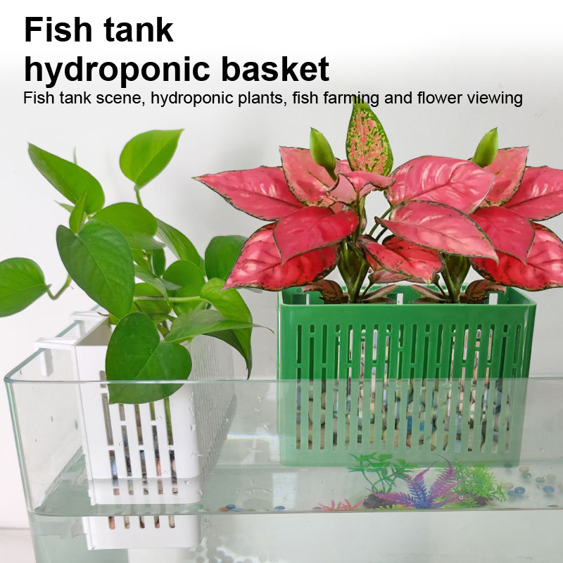 【F】Fish Tank Hanging Planter A - огляд і ціна Aquarium Plant Order