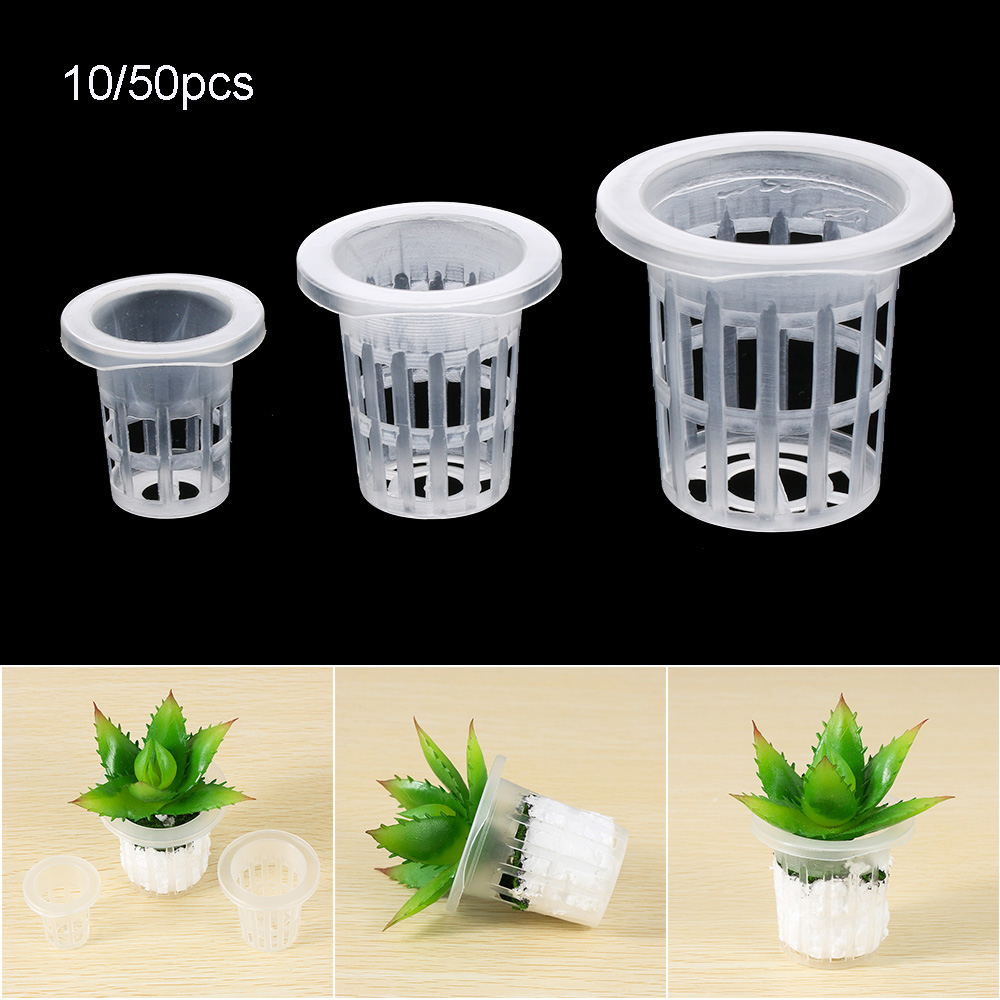 10/50pcs Durable Planting Aqua - огляд і ціна Aquarium Planted Seeds